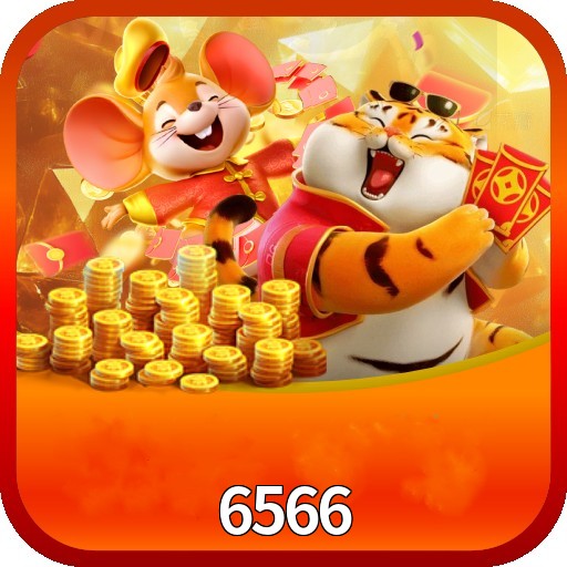  6566